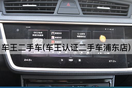 车王二手车(车王认证二手车浦东店)