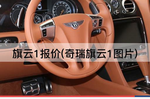 旗云1报价(奇瑞旗云1*)