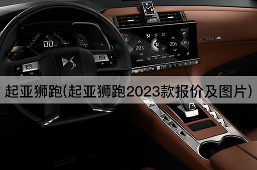 起亚狮跑(起亚狮跑2023款报价及*)