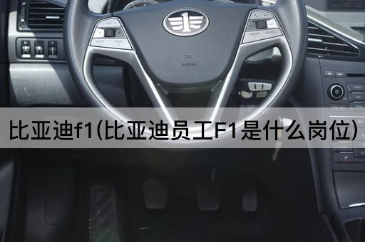 比亚迪f1(比亚迪员工F1是什么岗位)