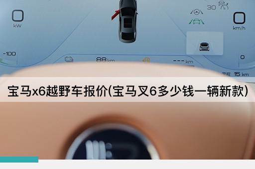 宝马x6越野车报价(宝马叉6多少钱一辆新款)