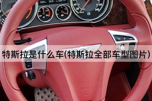 特斯拉是什么车(特斯拉全部车型*)