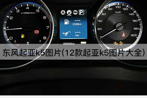 东风起亚k5*(12款起亚k5*大全)