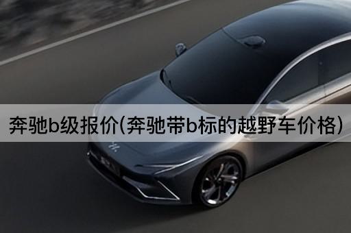 奔驰b级报价(奔驰带b标的越野车价格)