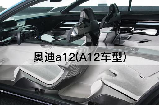 奥迪a12(A12车型)