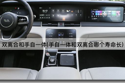 双离合和手自一体(手自一体和双离合哪个寿命长)