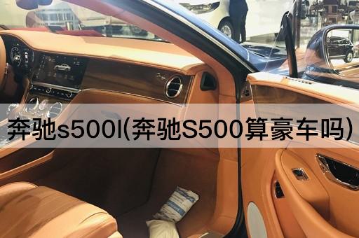 奔驰s500l(奔驰S500算豪车吗)