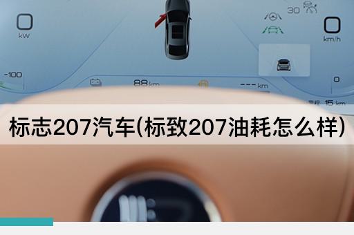 标志207汽车(标致207油耗怎么样)