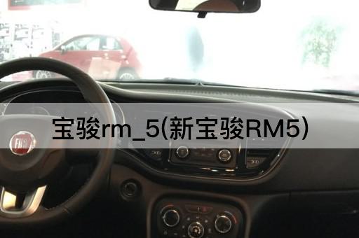 宝骏rm_5(新宝骏RM5)