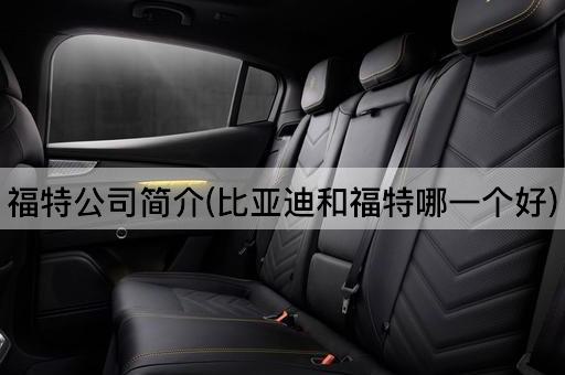 福特公司简介(比亚迪和福特哪一个好)