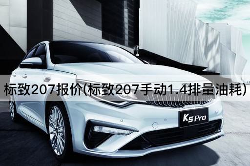 标致207报价(标致207手动1.4排量油耗)