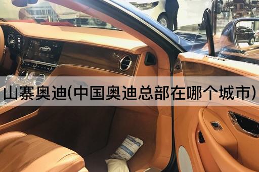 山寨奥迪(*奥迪总部在哪个城市)