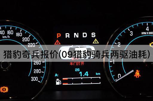 猎豹奇兵报价(09猎豹骑兵两驱油耗)