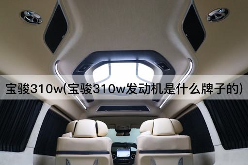 宝骏310w(宝骏310w发动机是什么牌子的)