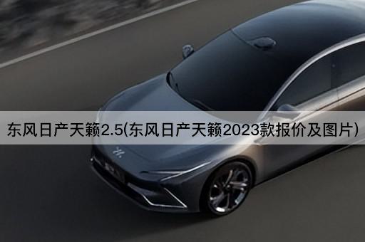 东风日产天籁2.5(东风日产天籁2023款报价及*)