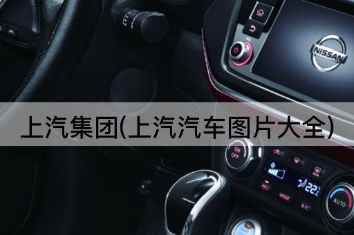 上汽集团(上汽汽车*大全)