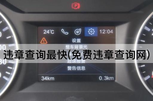 违章查询最快(*违章查询网)