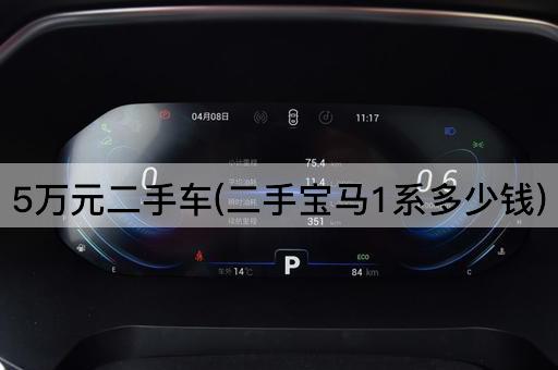 5万元二手车(二手宝马1系多少钱)