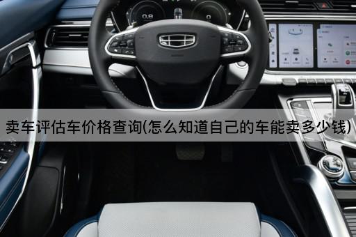 卖车评估车价格查询(怎么知道自己的车能卖多少钱)