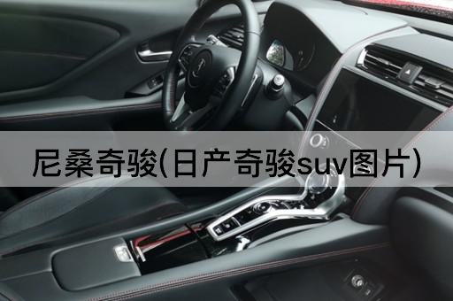 尼桑奇骏(日产奇骏suv*)