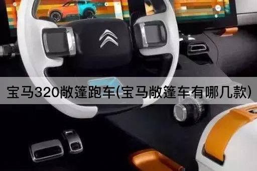 宝马320敞篷跑车(宝马敞篷车有哪几款)
