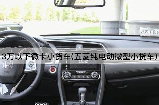 3万以下微卡小货车(五菱纯电动*小货车)