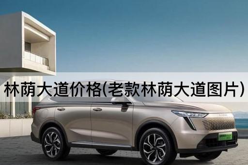林荫大道价格(老款林荫大道*)