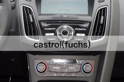 castrol(fuchs)