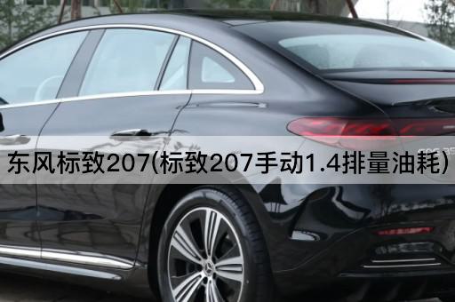 东风标致207(标致207手动1.4排量油耗)
