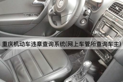 *机动车违章查询系统(网上车管所查询车主)