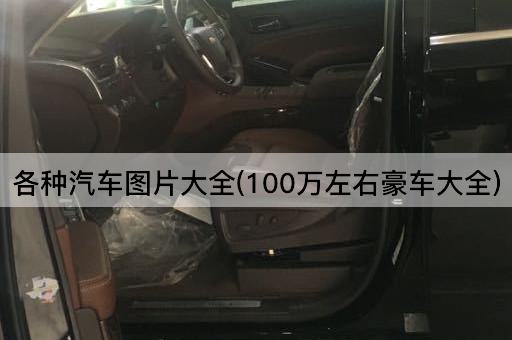 各种汽车图片大全(100万左右豪车大全)