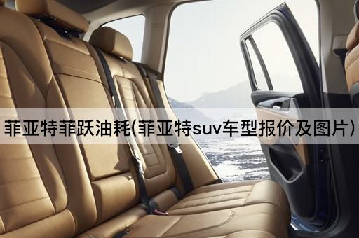 菲亚特菲跃油耗(菲亚特suv车型报价及图片)