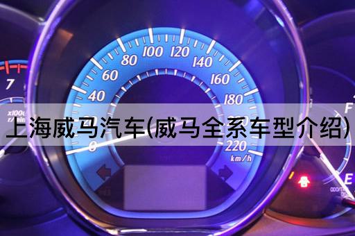 上海威马汽车(威马全系车型介绍)