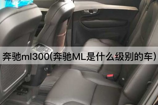 奔驰ml300(奔驰ML是什么级别的车)