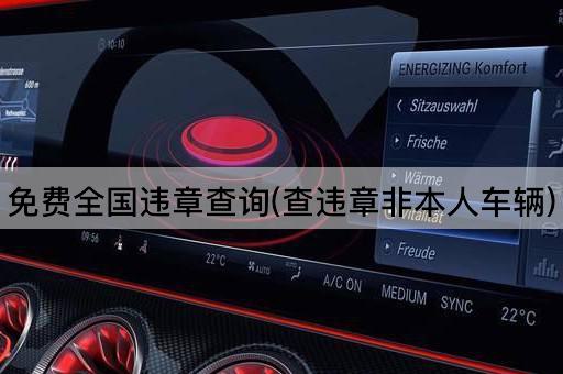 免费全国违章查询(查违章非本人车辆)