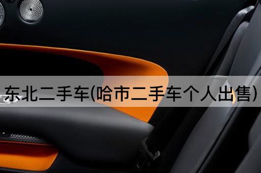 东北二手车(哈市二手车个人出售)