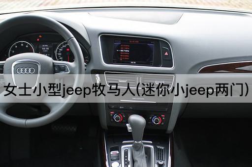 女士小型jeep牧马人(迷你小jeep两门)