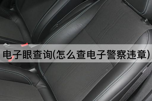 电子眼查询(怎么查电子警察违章)
