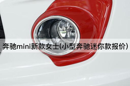 奔驰mini新款女士(小型奔驰迷你款报价)
