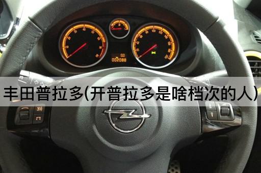 丰田普拉多(开普拉多是啥档次的人)