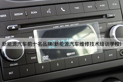 新能源汽车前十名品牌(新能源汽车维修技术培训学校)