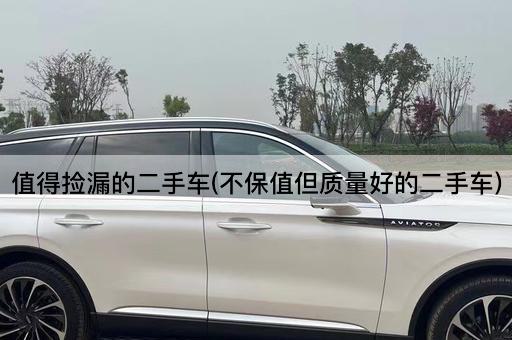 值得捡漏的二手车(不保值但质量好的二手车)
