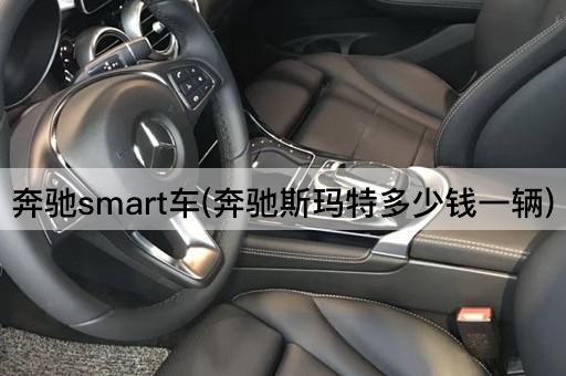 奔驰smart车(奔驰斯玛特多少钱一辆)