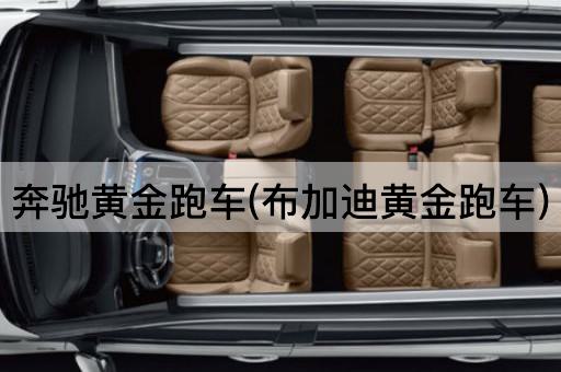 奔驰黄金跑车(布加迪黄金跑车)