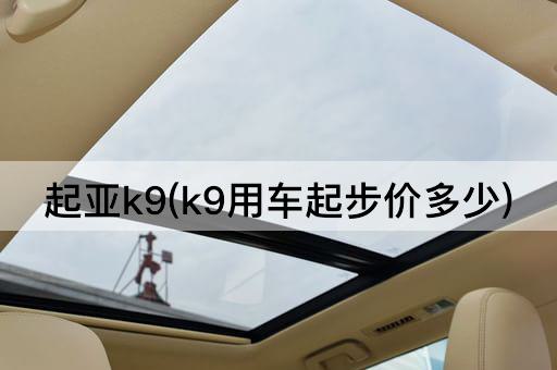 起亚k9(k9用车起步价多少)