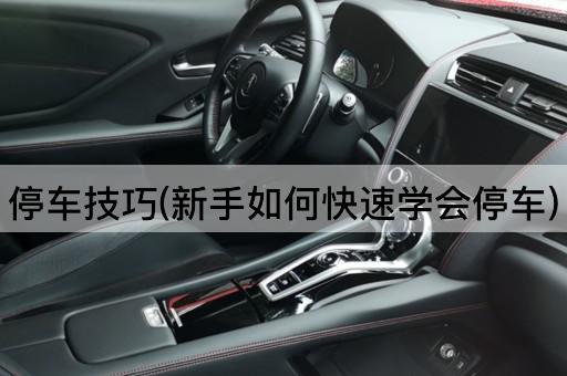 停车技巧(新手如何快速学会停车)