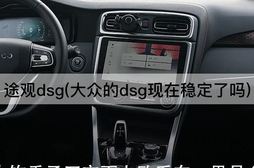 途观dsg(大众的dsg现在稳定了吗)