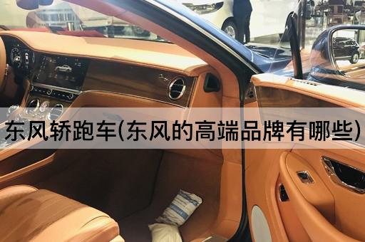 东风轿跑车(东风的高端品牌有哪些)