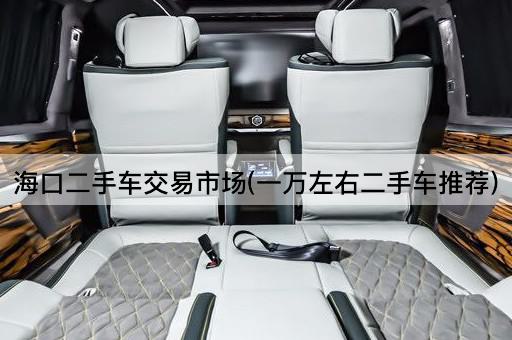 海口二手车交易市场(一万左右二手车推荐)