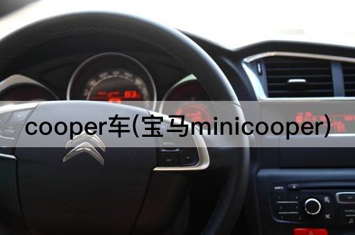 cooper车(宝马minicooper)
